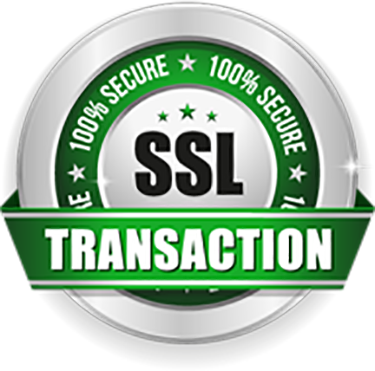 SSL Icon